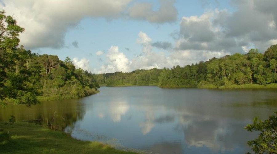 hiyare-reservoir-rainforest