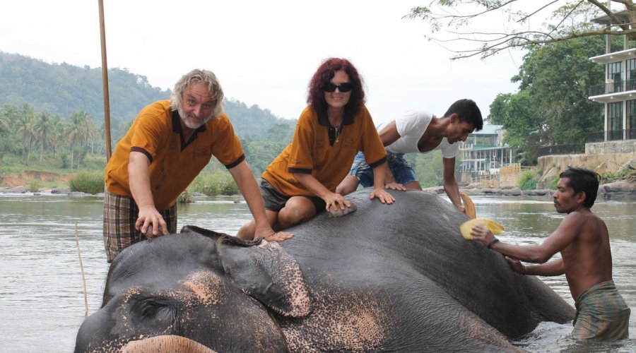 pinnawala-elephant-orphanage